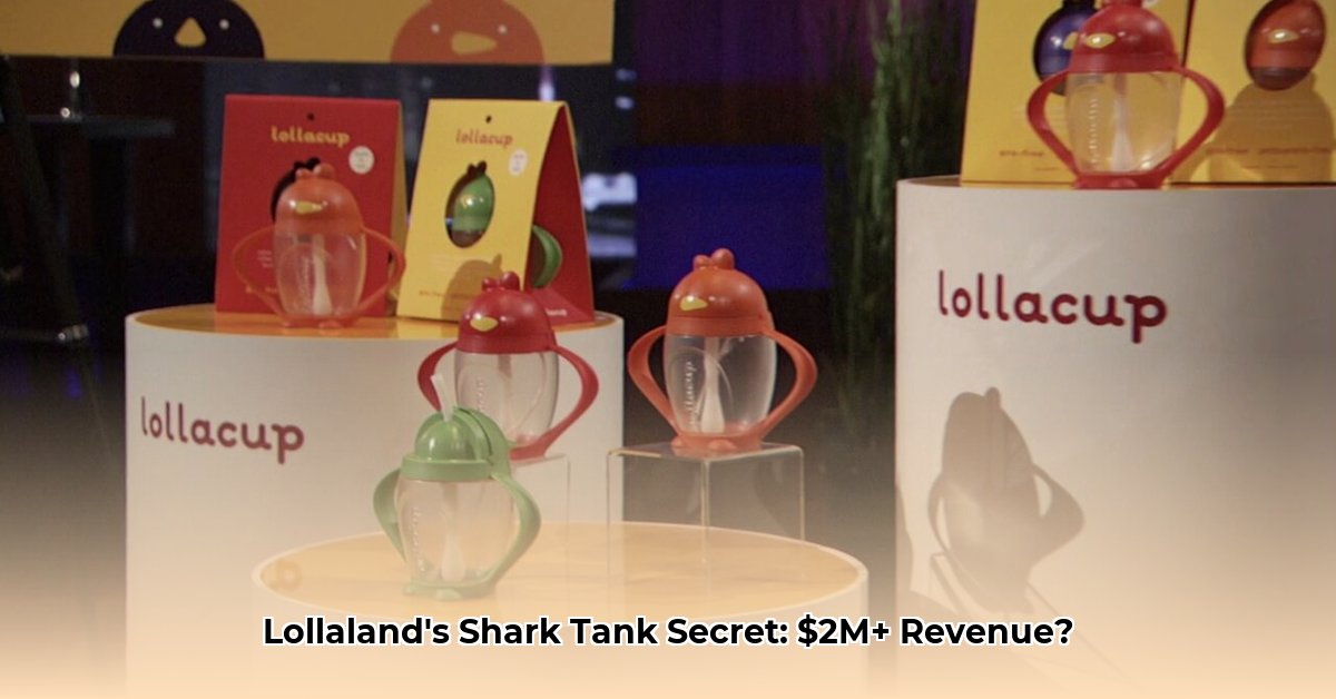 lollacup-shark-tank-net-worth